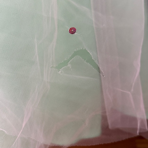 Elegant Mint Green Pink Quinceanera dress Gown (Petticoat not included) - Picture 9 of 11